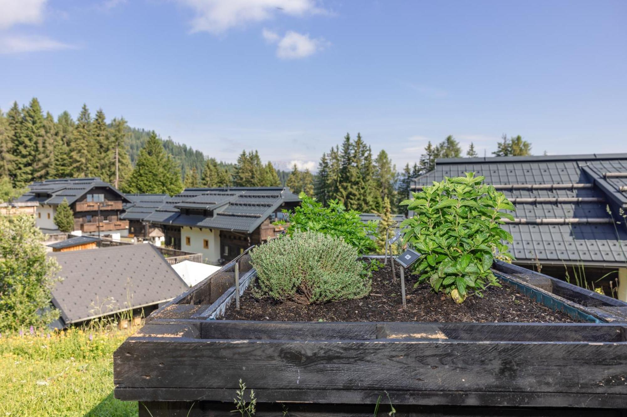 Hapimag Ferienwohnungen Sonnleitn Sonnenalpe Nassfeld Exteriör bild